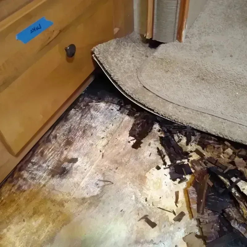 Best Wood Floor Water Damage Service in Sedona, AZ